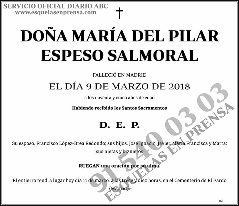 María del Pilar Espeso Salmoral